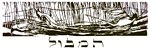 Ellen Holtzblatt, Hamabul, 2006, woodcut on Japanese paper, 8 x 22 1/2 in.