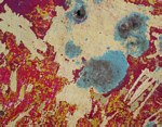 W.O.O.F by Keven Ann Seaver, Art Opportunities Monthly subscriber W.O.O.F by Keven Ann Seaver, Art Opportunities Monthly subscriber